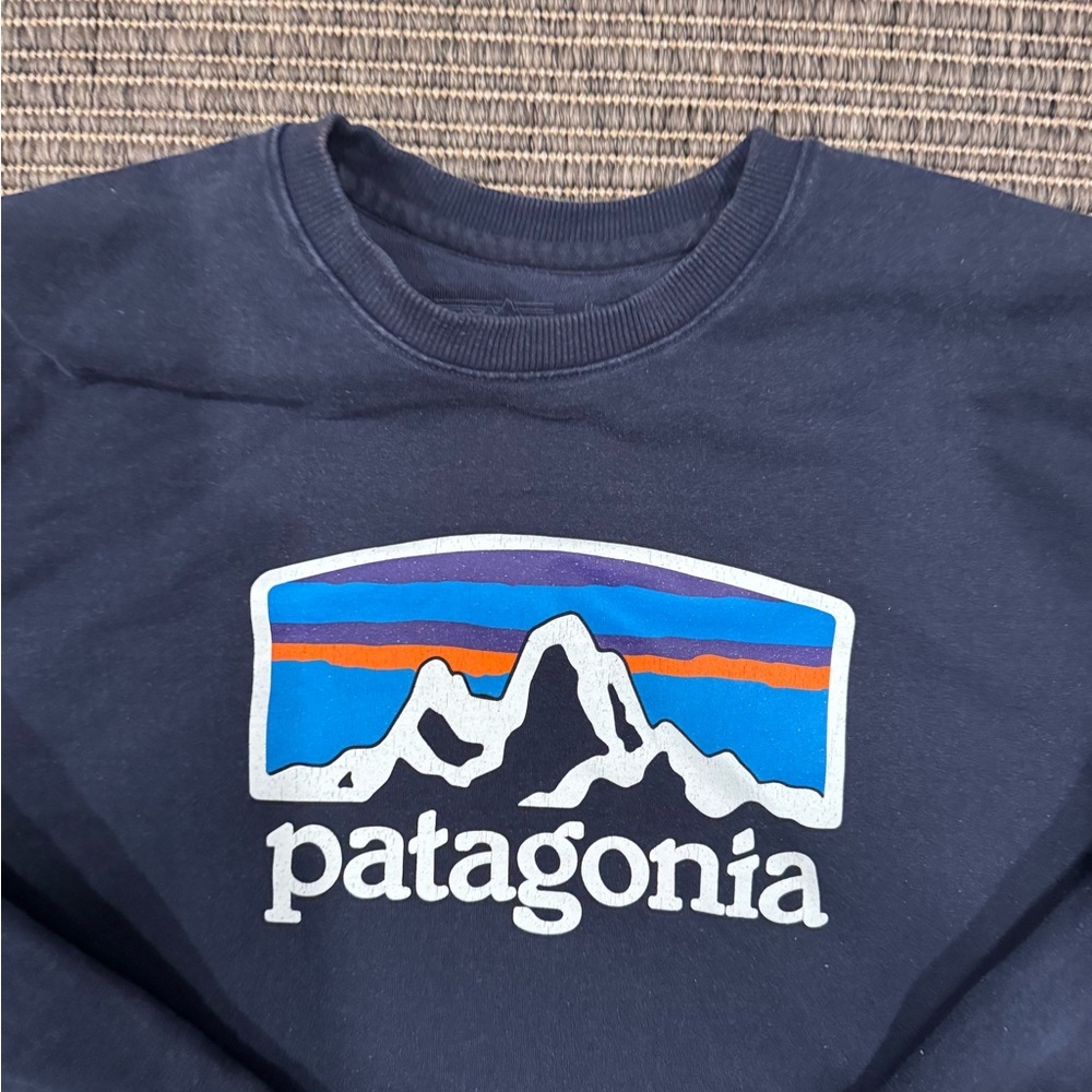 Patagonia Men's Regular Fit Blue Logo Sweatshirt - Picture 2 of 4